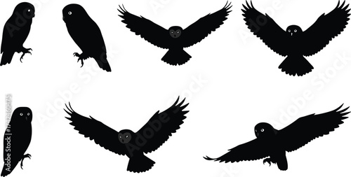 Black owl silhouettes set, flying and perched bird shapes, nocturnal wildlife icons, raptor wings spread, predator animal illustration collection design