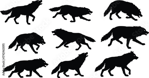 Black wolf silhouettes collection, wild animal vector design, walking wolves illustration, wildlife predator artwork, forest nature symbol, hunting canine graphic, realistic silhouette set