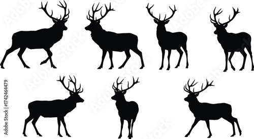 Deer silhouette, stag antlers, wild animal vector, hunting design, forest wildlife illustration, reindeer outline, elk graphic, nature symbol,