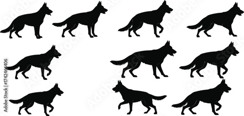 German Shepherd dog silhouettes walking standing running poses, black animal outline collection, pet movement illustration, domestic canine breed vector design