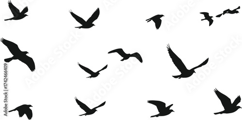 Flying bird silhouettes collection, black vector design, flock of birds in flight, wings spread, wildlife illustration, nature animal graphic art
