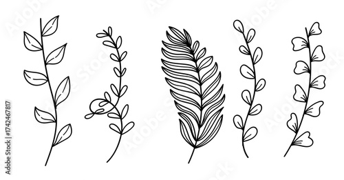 Hand drawn minimalist botanical abstract wildflower line art collection. Vector illustration.
