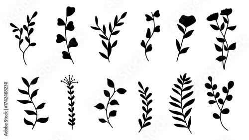 Minimalist botanical silhouette collection of plants, flowers, and foliage.Vector illustration set.
