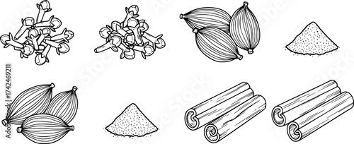 Whole and ground spices in outline. Cloves cardamom and cinnamon vector set.

