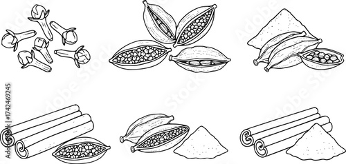 Whole and ground spices in outline. Cloves cardamom and cinnamon vector set.
