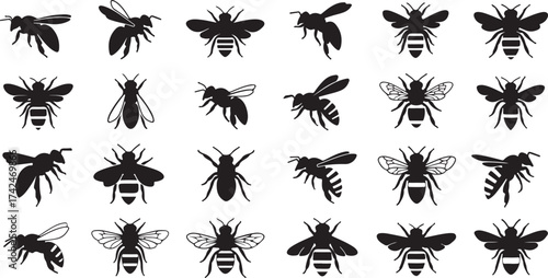 Set of palm tree and insect silhouettes with a seamless pattern design 