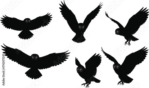 Silhouette owls flying landing perched wings spread nocturnal birds wildlife illustration isolated black white background night nature animal design art