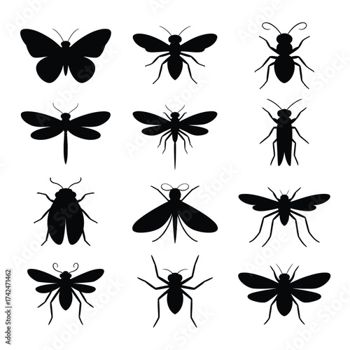 Set of 12 insect silhouettes vector graphics scalable illustration for eps files silhouette vector illustration white background