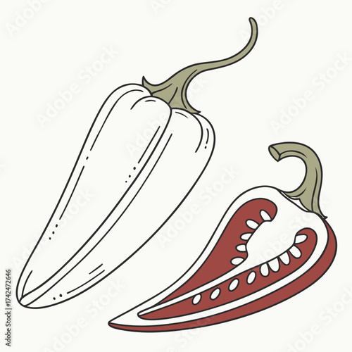 Hand drawn illustration of a whole white pepper and a red pepper cut in half showing seeds and flesh