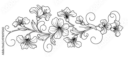 Art Nouveau Vine - Minimalist Vector Floral Design