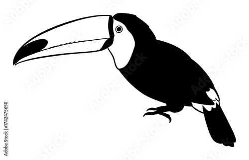 Toucan Vector - Minimalist Black and White Illustration
