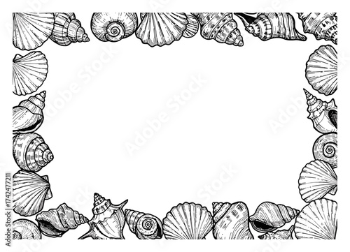 Hand-drawn seashell border vector, minimalist design