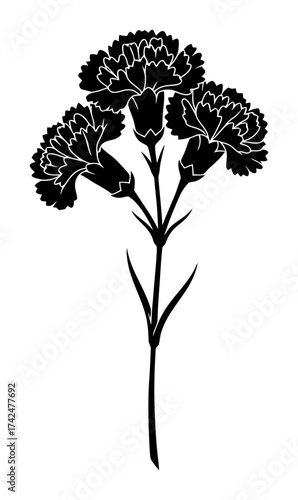 Carnation Sprig Vector - Minimalist Flower Illustration