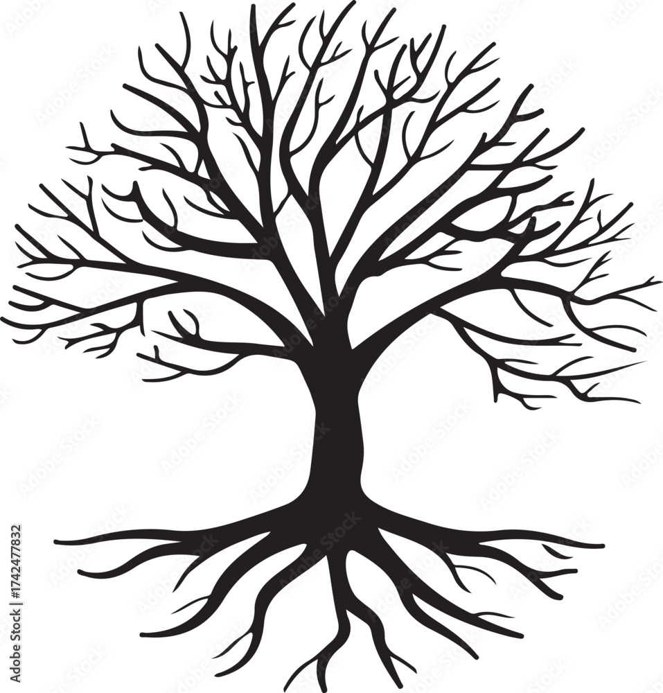 Obraz premium Laser Cut Tree Silhouettes Bundle