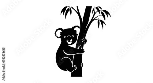 Silhouette of a Koala Clinging to a Bamboo Tree Branch.