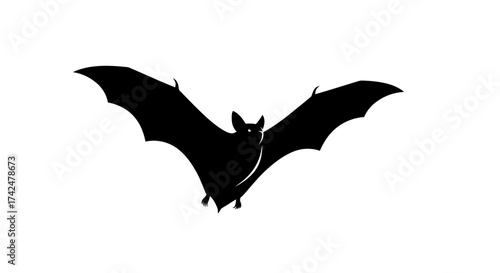 Silhouette of a bat with outstretched wings against a white background.