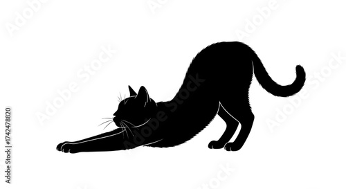 Black cat stretching silhouette on white background showing graceful movement.