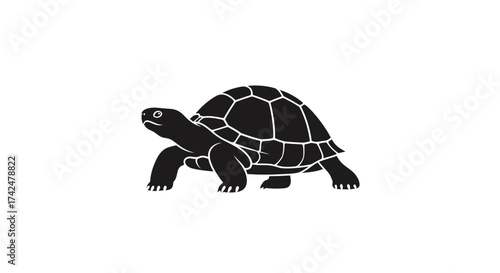Black silhouette icon of a walking land tortoise.
