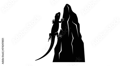 Silhouette of a lizard climbing a rocky outcrop.