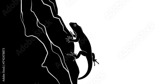 Lizard climbing on a rock in black and white.
