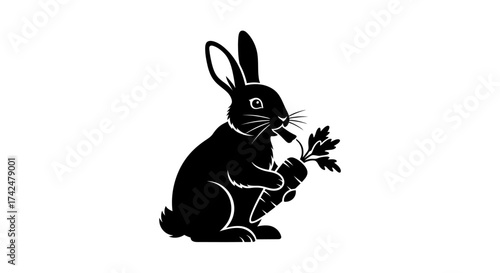 Black rabbit enjoying a carrot, a delightful illustration of nature.