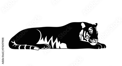 Majestic Black and White Tiger Resting Serene Silhouette.