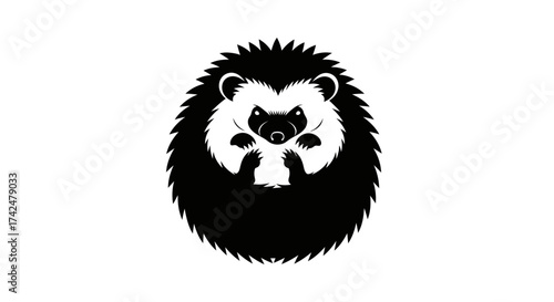 Cute Hedgehog Curled Up in a Ball Black and White Illustration.