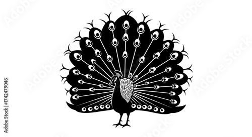 Elegant peacock displaying its beautiful feathers in a stunning black and white illustration.