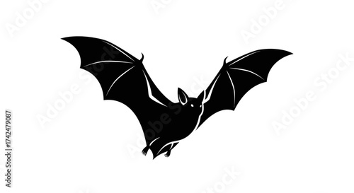 Silhouette of a flying bat with outstretched wings against a white backdrop.