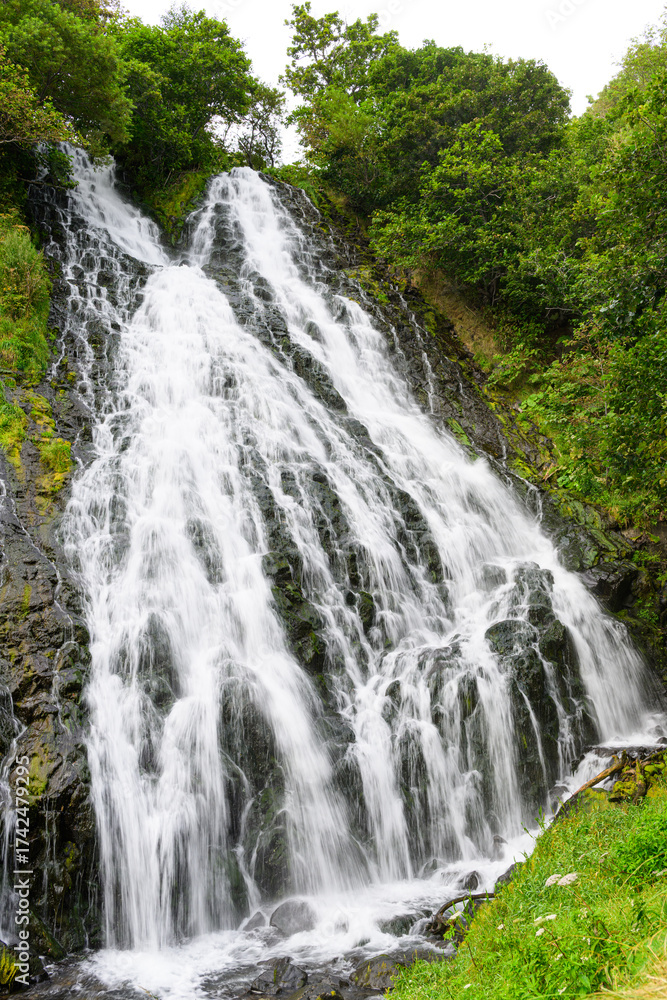 Fototapeta premium 北海道知床 オシンコシンの滝 2025年8月