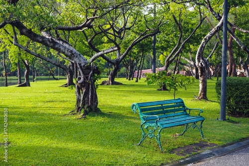 Thailand 13  October 2025 - A photo taken at Chatuchak Park where rain just fell on the trees.