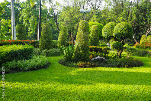 Thailand 13  October 2025 - A photo taken at Chatuchak Park where rain just fell on the trees.