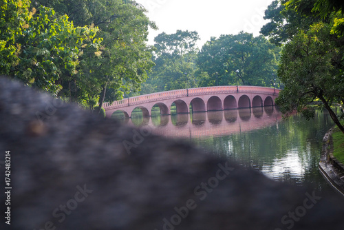 Thailand 13  October 2025 - A photo taken at Chatuchak Park where rain just fell on the trees.