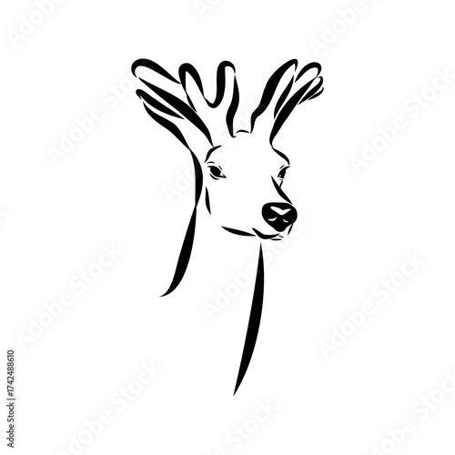 maral, Altai deer, vector sketch