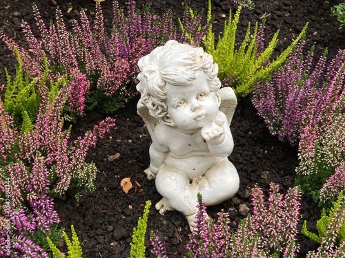 Engel auf dem Friedhof auf einem Grab zwischen Heidekraut in lila und grün