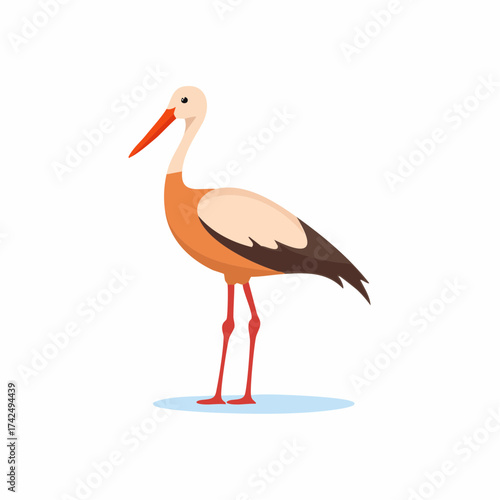 Elegant cartoon stork standing in profile with long red legs and beak flat vector illustration