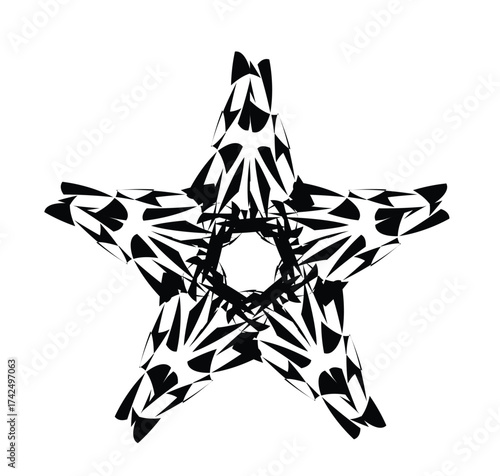 a stylized black and white star, reminiscent of a nautical star design or a stencil template. 