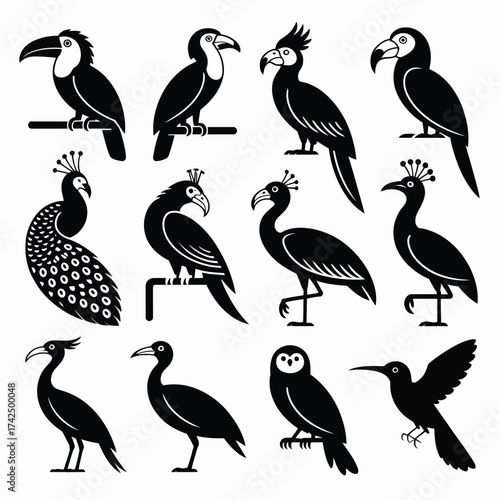 Set of 10 exotic birds vector illustrations scalable eps icons for wildlife and nature designs silhouette vector illustration white background