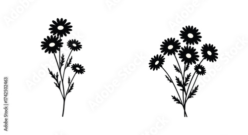 Simple black and white floral illustration featuring multiple daisy like blooms
