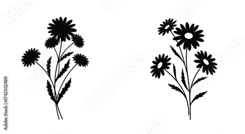 Simple black and white illustration of several daisy like flower designs