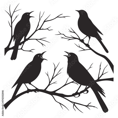 Wallpaper Mural birds on a branch Torontodigital.ca