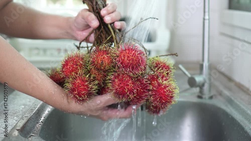 Close-up of vibrant red rambutan cluster being wash under running tap water in stainless steel kitchen sink, hold by hand gripping fruit's stem. Food preparation, freshness , and tropical hygiene.