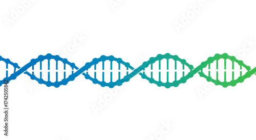 A stylized dna double helix strand with a blue to green gradient on a plain white background design