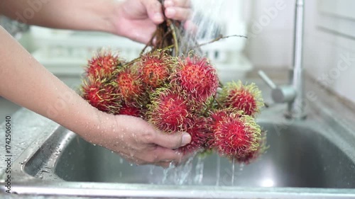 Close-up of vibrant red rambutan cluster being wash under running tap water in stainless steel kitchen sink, hold by hand gripping fruit's stem. Freshness , and tropical hygiene. Slow motion.