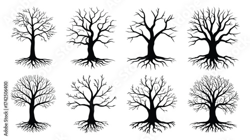 Set of eight detailed black and white tree silhouettes with exposed roots vector illustration scalable eps silhouette vector illustration white background