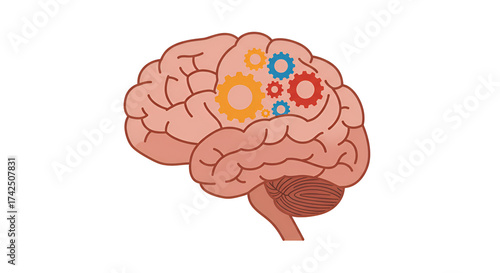 A cartoon brain with colorful gears inside the brain on a white isolated background illustration