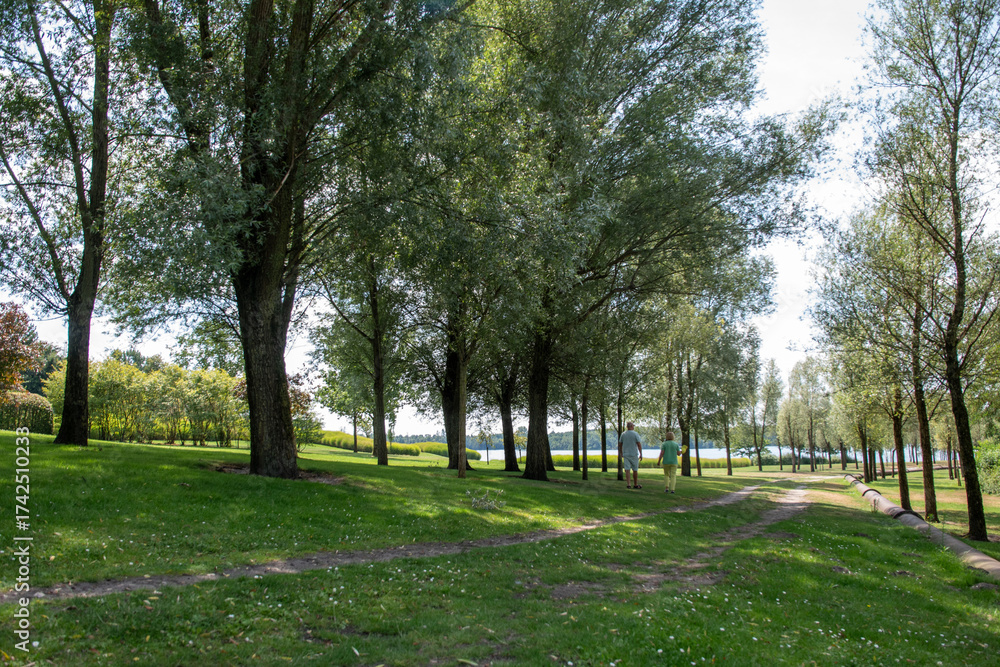 Obraz premium Senior couple enjoying relaxing walk in lush green park with path winding through tall trees, sunshine filtering down, creating a serene and healthy leisure activity by the lake