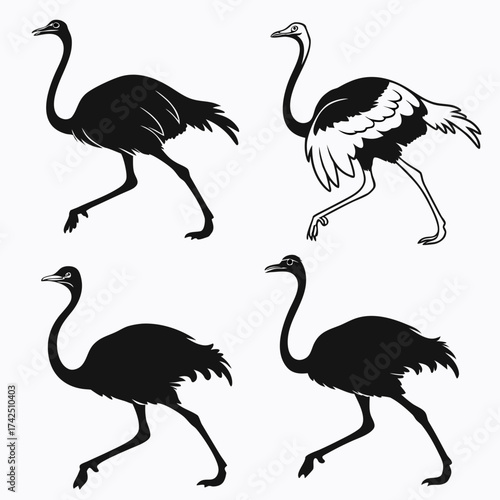 set of vector birds