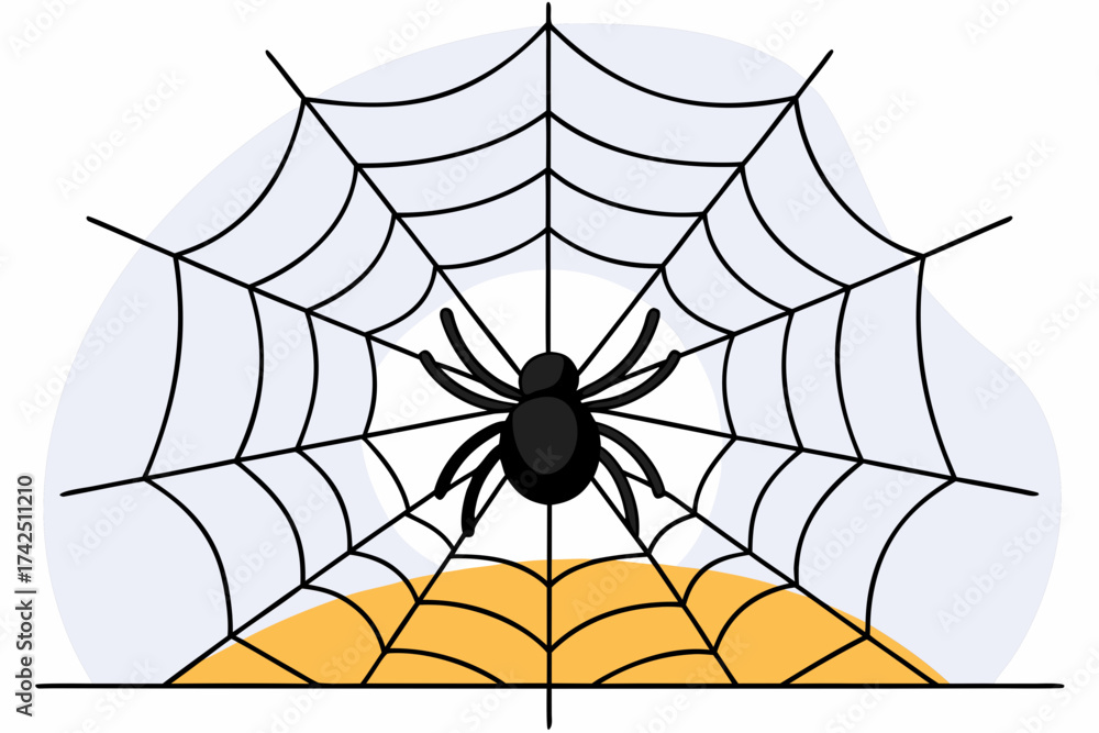Fototapeta premium spider on web