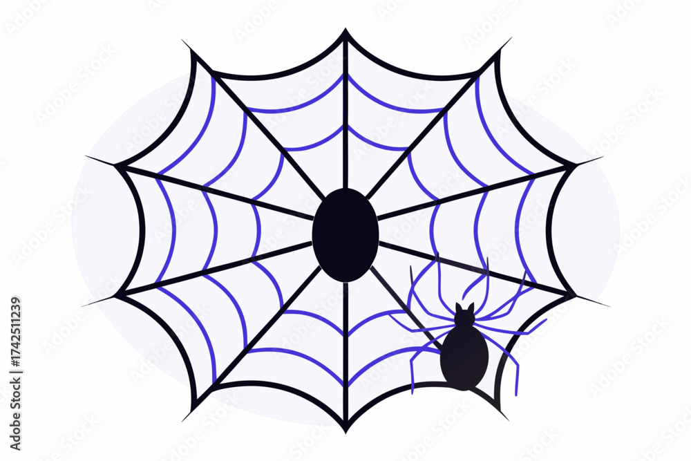 Fototapeta premium spider and web